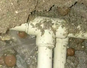 东营市测漏水多少钱