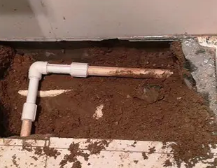 东营市测漏水哪家好