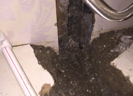 东营市卫生间测漏水哪家好