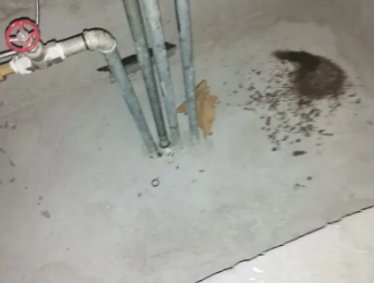 东营市卫生间测漏水价格明细