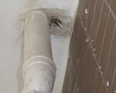 东营市漏水检测哪家好